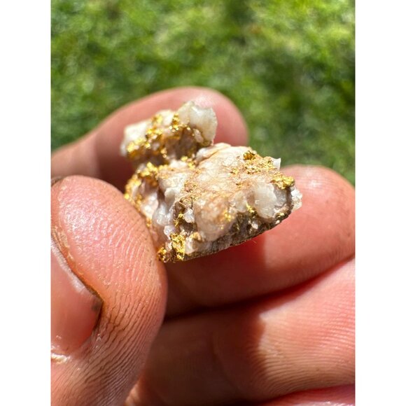 VERY RICH Gold in Quartz Specimen- California - 10.8 grams - Picture 8 of 12